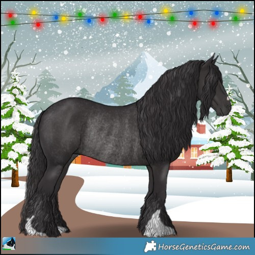 Horse Color:Smoky Black Mushroom Rabicano 
