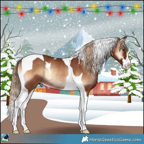 Horse Color:Red Onyx Sabino Tobiano Rabicano 