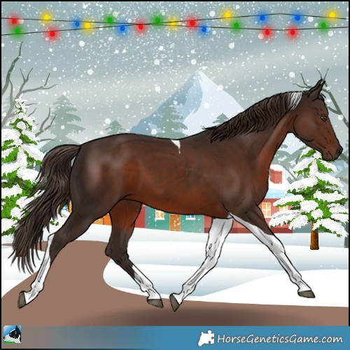 Horse Color:Liver Chestnut Tobiano 