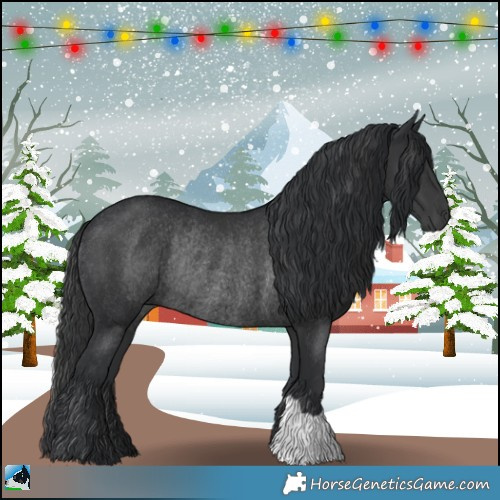 Horse Color:Black Rabicano 