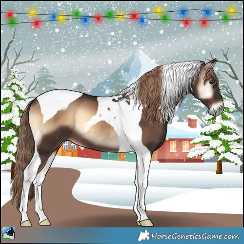 Horse Color:Liver Red Onyx Tobiano 