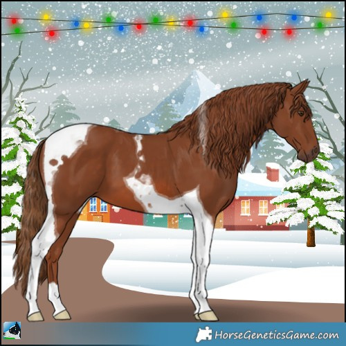 Horse Color:Chestnut Tobiano 