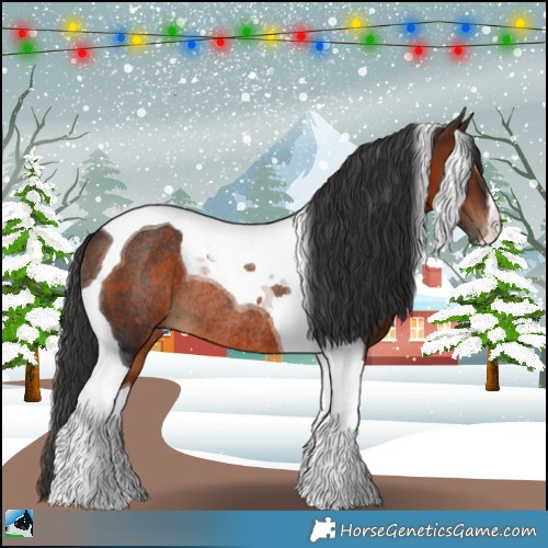 Horse Color:Brown Tobiano Rabicano 