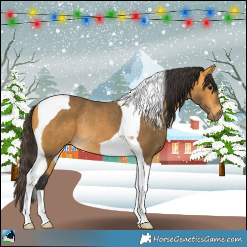 Horse Color:Buckskin Tobiano Rabicano 