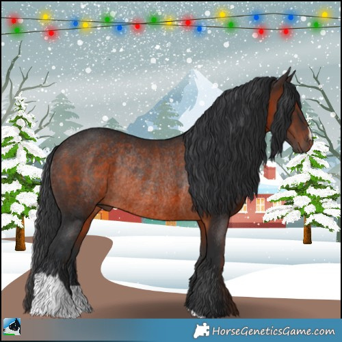 Horse Color:Brown Mushroom Rabicano 