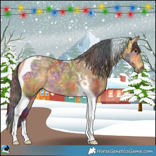 Horse Color:Nacre Buckskin Ice Tobiano Rabicano 