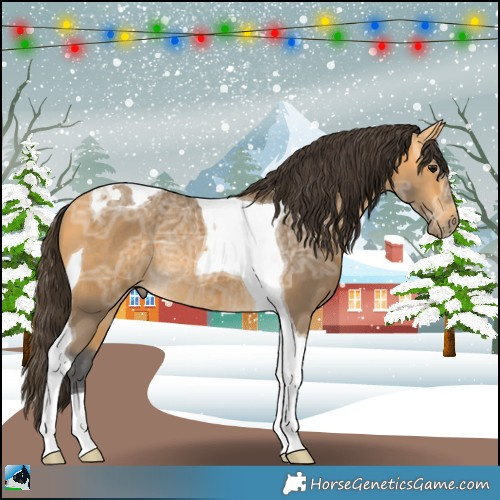 Horse Color:Buckskin Ice Tobiano Rabicano 