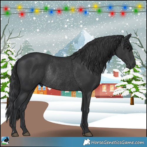 Horse Color:Black Rabicano 
