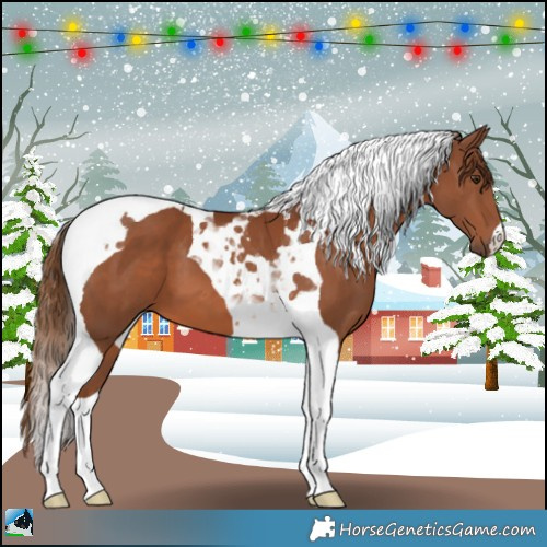 Horse Color:Chestnut Tobiano 