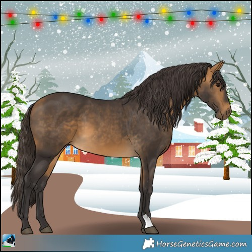 Horse Color:Buckskin 