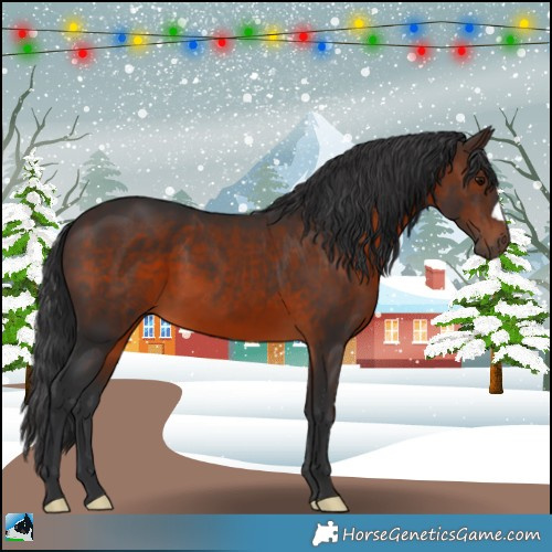 Horse Color:Brown 
