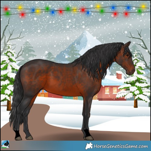 Horse Color:Brown 