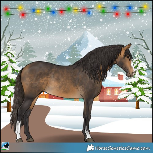 Horse Color:Buckskin Sabino Rabicano 