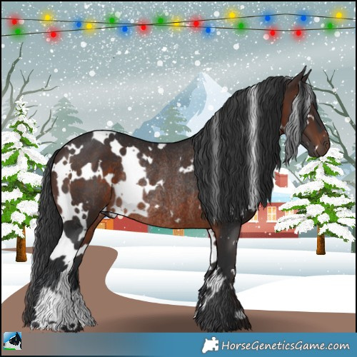 Horse Color:White Spotted Brown Rabicano 