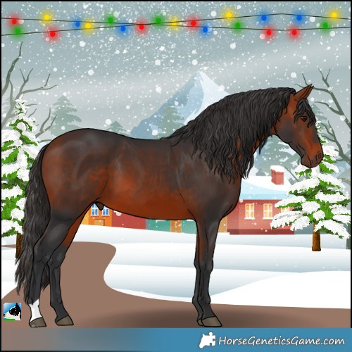 Horse Color:Brown 