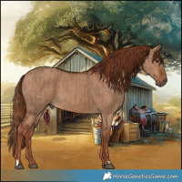 Horse Color:Liver Red Dun  and Red Dun 