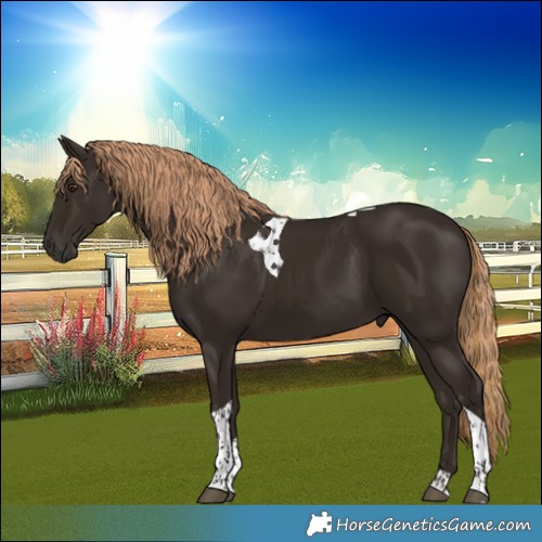 Horse Color:Liver Chestnut Tobiano 