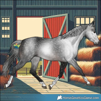 Horse Color:Gray Brown Tobiano 