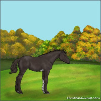 Horse Color:Liver Chestnut Tobiano 