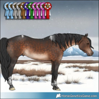 Horse Color:Brown Tobiano 