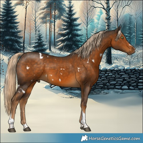 Horse Color:White Spotted Chocolate Palomino Tobiano 