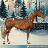 Horse Color:White Spotted Chocolate Palomino Tobiano 