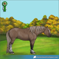 Horse Color:Liver Red Dun Tobiano Rabicano Brindle