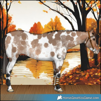 Horse Color:Bay Dun Sabino Tobiano Rabicano 