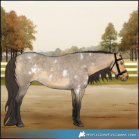 Horse Color:White Spotted Buckskin Roan Dun 