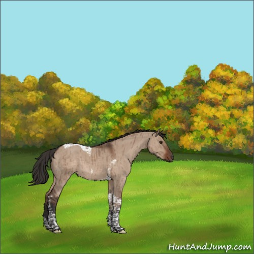 Horse Color:Liver Red Dun Tobiano Rabicano Brindle 