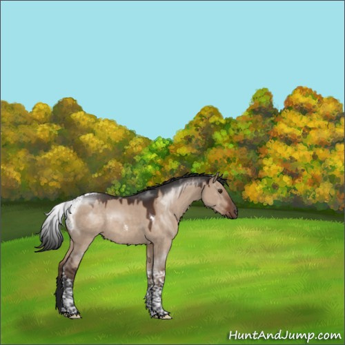 Horse Color:Liver Red Dun Tobiano Rabicano 