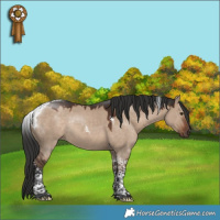 Horse Color:Liver Red Dun Tobiano Rabicano 