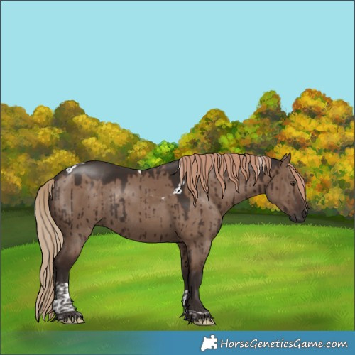Horse Color:Liver Red Dun Tobiano Rabicano Brindle 
