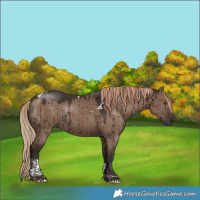 Horse Color:Liver Red Dun Tobiano Rabicano Brindle 