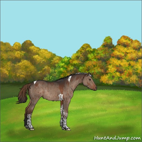 Horse Color:Liver Red Dun Tobiano Rabicano Brindle 