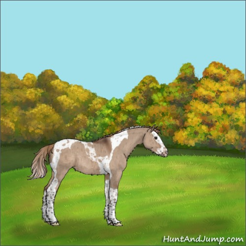Horse Color:Liver Red Dun Splash Tobiano Rabicano Brindle 