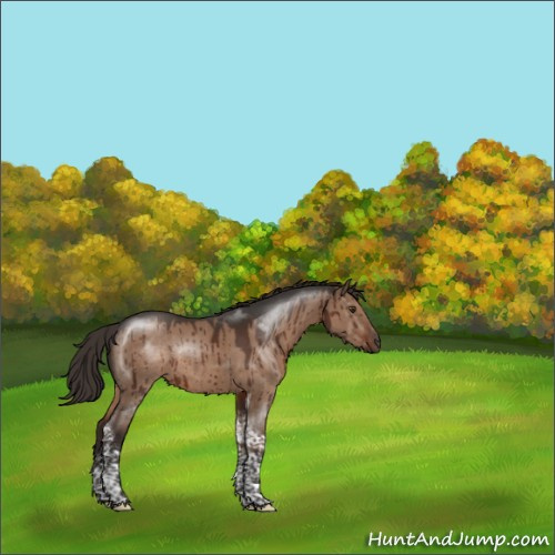 Horse Color:Liver Red Dun Tobiano Rabicano Brindle 