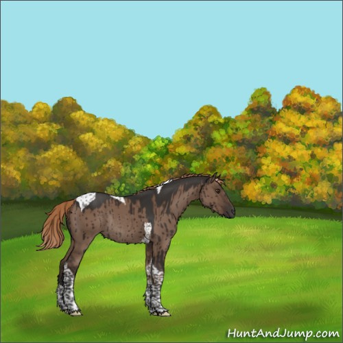 Horse Color:Liver Red Dun Tobiano Rabicano Brindle 