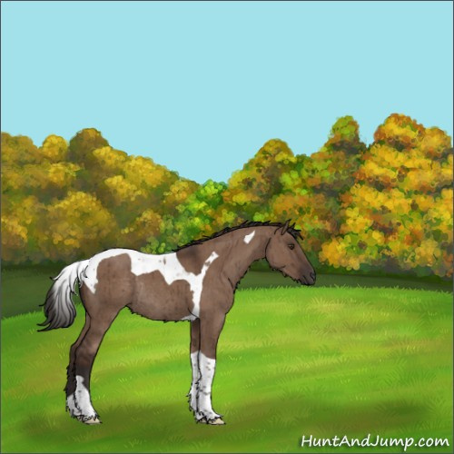 Horse Color:Liver Red Dun Tobiano Rabicano Brindle 