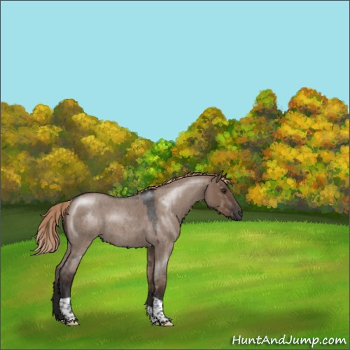 Horse Color:Liver Red Dun Roan Tobiano 