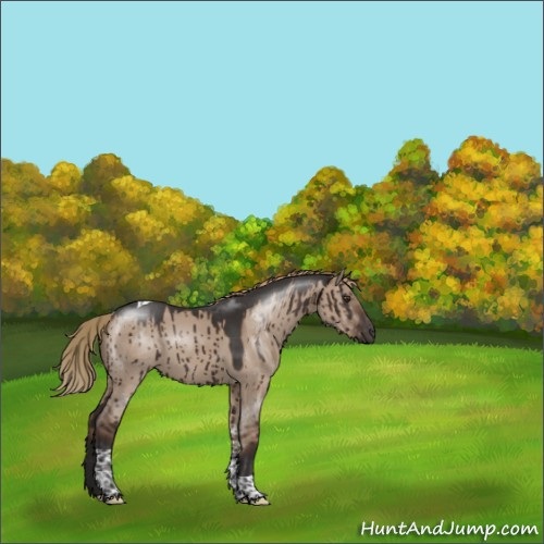 Horse Color:Liver Red Dun Tobiano Brindle 