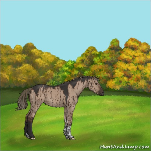 Horse Color:Liver Red Dun Tobiano Brindle 