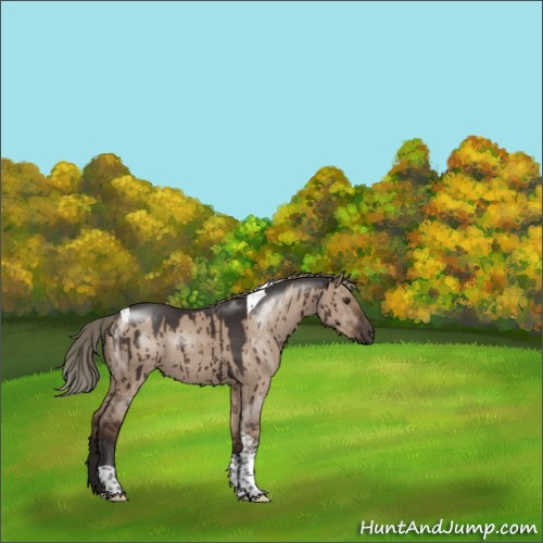 Horse Color:Liver Red Dun Tobiano Brindle 