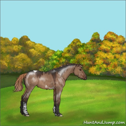 Horse Color:Liver Red Dun Tobiano 