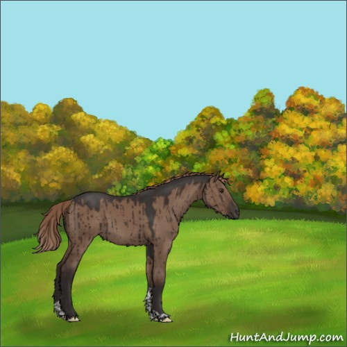 Horse Color:Liver Red Dun Tobiano Rabicano Brindle 