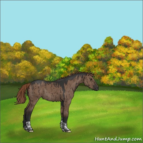 Horse Color:Liver Red Dun Tobiano Rabicano Brindle 