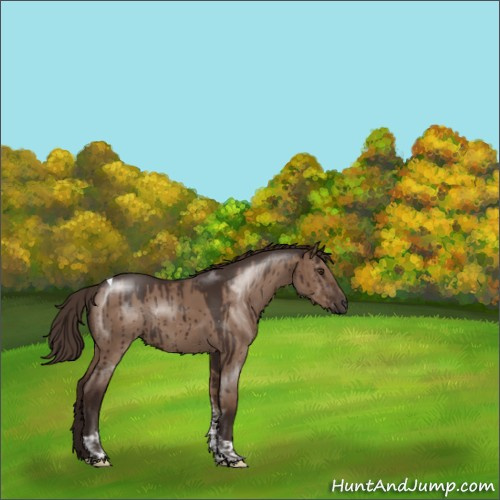 Horse Color:Liver Red Dun Tobiano Rabicano Brindle 