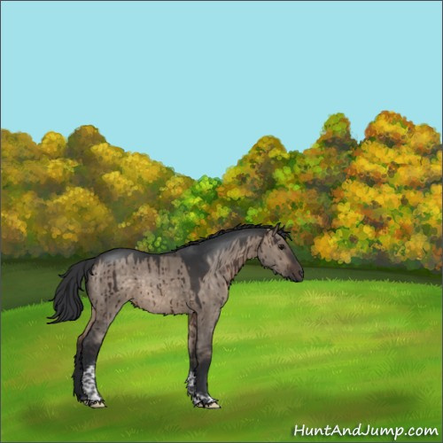 Horse Color:Brown Dun Tobiano Brindle 