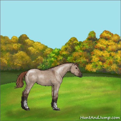 Horse Color:Liver Red Dun Tobiano Rabicano Brindle 