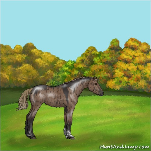 Horse Color:Liver Red Dun Tobiano Rabicano Brindle 